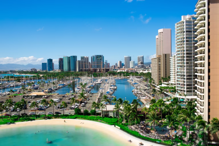 Real Estate Options in Florida