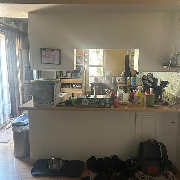 Green Kitchen Before Renovation