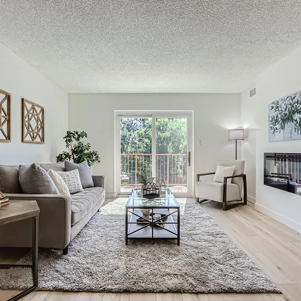 Living Room After Renovation
