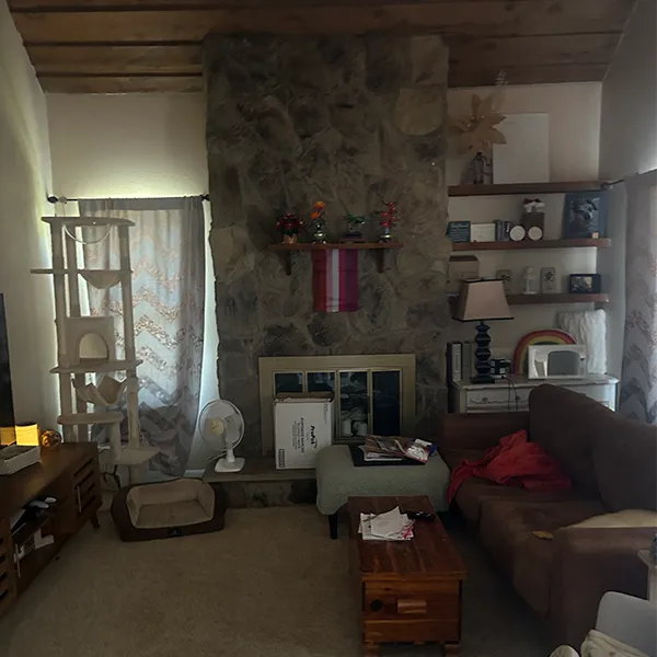 Living Room Fireplace Before Renovation